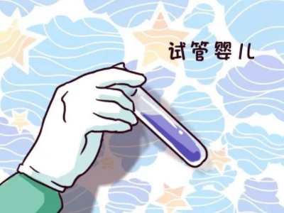 代生男孩机构